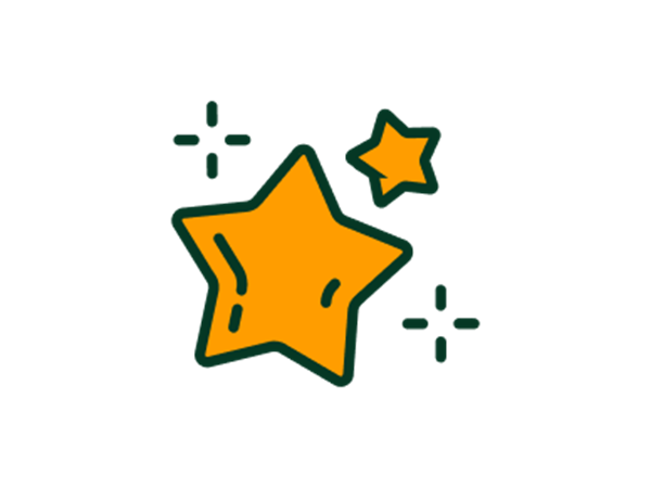 stars and sparkles icon